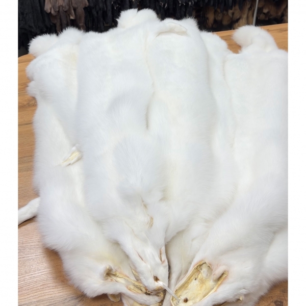 Шкуры песца